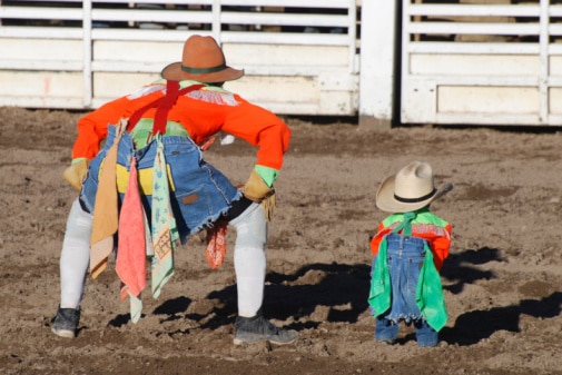 Don’t Give The Reins of Your Information Technology to a Rodeo Clown!
